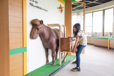 🐴 노마 말 고원(노마우마 하이랜드)